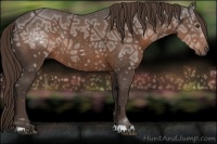 Horse Color:Liver Chestnut Ice Rabicano 