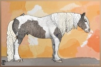 Horse Color:Liver Chestnut Ice Splash Tobiano Rabicano 