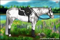 Horse Color:Grullo Ice Sabino Frame 