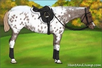 Horse Color:Liver Red Roan Appaloosa Rabicano 