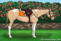 Horse Color:Gold Champagne Tobiano