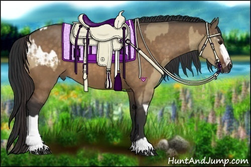 Horse Color:White Spotted Bay Dun Tobiano Appaloosa  and Bay Dun Sabino 