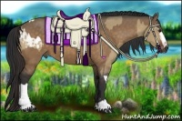 Horse Color:White Spotted Brown Dun Tobiano Varnish  and Brown Dun Sabino 