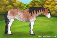 Horse Color:White Spotted Bay Splash  and White Spotted Bay Roan Splash 