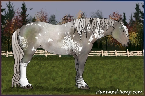 Horse Color:White Spotted Silver Black 