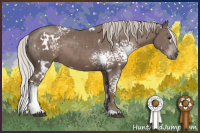 Horse Color:White Spotted Silver Black