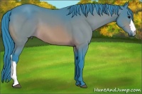 Horse Color:Watercolor Bay 