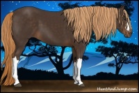 Horse Color:Liver Chestnut 
