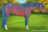 Horse Color:Watercolor Bay 