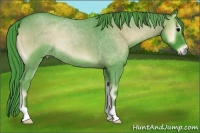 Horse Color:Watercolor Blue Onyx Roan 