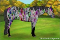 Horse Color:Blue Ice Roan Rabicano