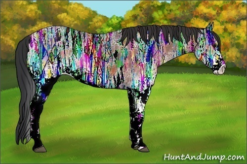 Horse Color:White Spotted Bay Ice Rabicano 