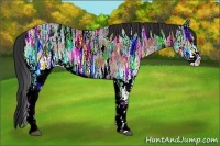 Horse Color:White Spotted Bay Ice Rabicano 