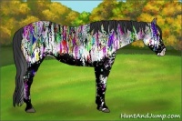 Horse Color:White Spotted Black Ice Rabicano 