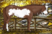 Horse Color:Chestnut Frame 