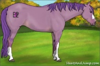 Horse Color:Watercolor Liver Red Dun