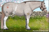 Horse Color:White Spotted Red Roan Varnish