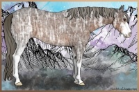 Horse Color:Liver Chestnut Ice Sabino 