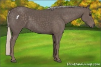Horse Color:Silver Black 