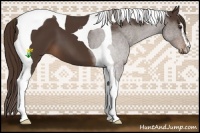 Horse Color:Liver Chestnut Sabino Tobiano 