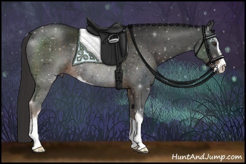 Horse Color:Liver Chestnut Sabino Rabicano