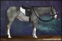 Horse Color:Liver Chestnut Sabino Rabicano 