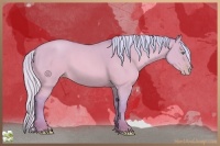 Horse Color:Watercolor Silver Sable Champagne Dun 
