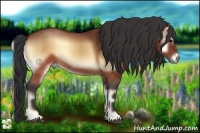 Horse Color:Brown Onyx Sabino Rabicano 