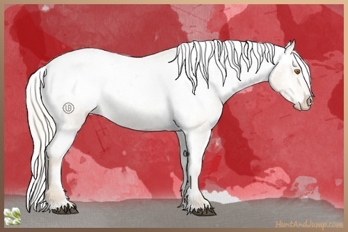 Horse Color:Silver Blue Roan Pearl Varnish