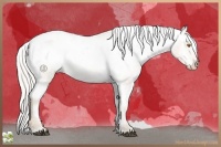 Horse Color:Silver Blue Roan Pearl Varnish
