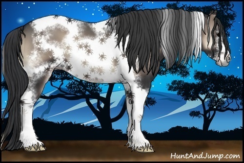 Horse Color:Blue Onyx Sabino Tobiano Frame 