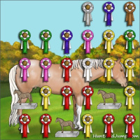 Horse Color:Silver Black Pearl Sabino Tobiano