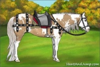 Horse Color:White Spotted Silver Bay Dun Splash 