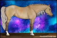 Horse Color:Silver Bay Dun Rabicano 