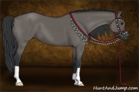 Horse Color:Grullo