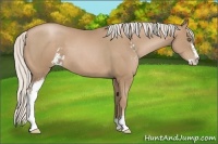 Horse Color:Silver Black Pearl Sabino