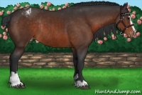 Horse Color:Brown Sabino Varnish Rabicano 