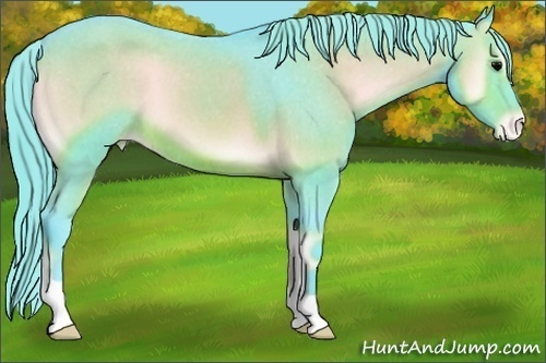 Horse Color:Watercolor Brown Onyx Varnish