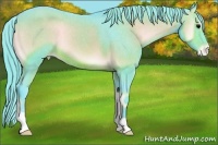 Horse Color:Watercolor Brown Onyx Appaloosa 