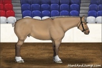 Horse Color:Silver Bay Dun