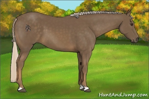 Horse Color:Chocolate Palomino 