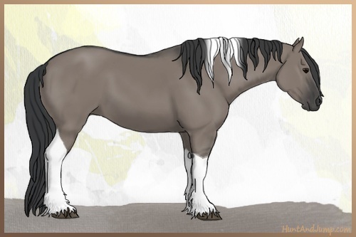 Horse Color:Grullo Tobiano
