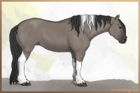 Horse Color:Grullo Tobiano 