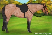 Horse Color:Bay Roan 