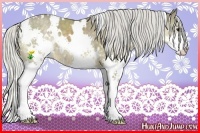 Horse Color:White Spotted Silver Smoky Black Splash 