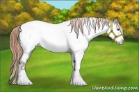 Horse Color:Liver Chestnut Tobiano Near Fewspot