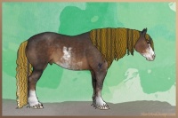 Horse Color:Painted Liver Chestnut Sabino