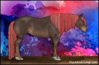 Horse Color:Painted Liver Chestnut