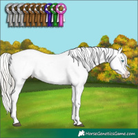 Horse Color:Chocolate Palomino Pearl Mushroom Appaloosa  and Silver Smoky Black Pearl Mushroom Sabino Appaloosa Rabicano 
