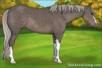 Horse Color:Silver Black 